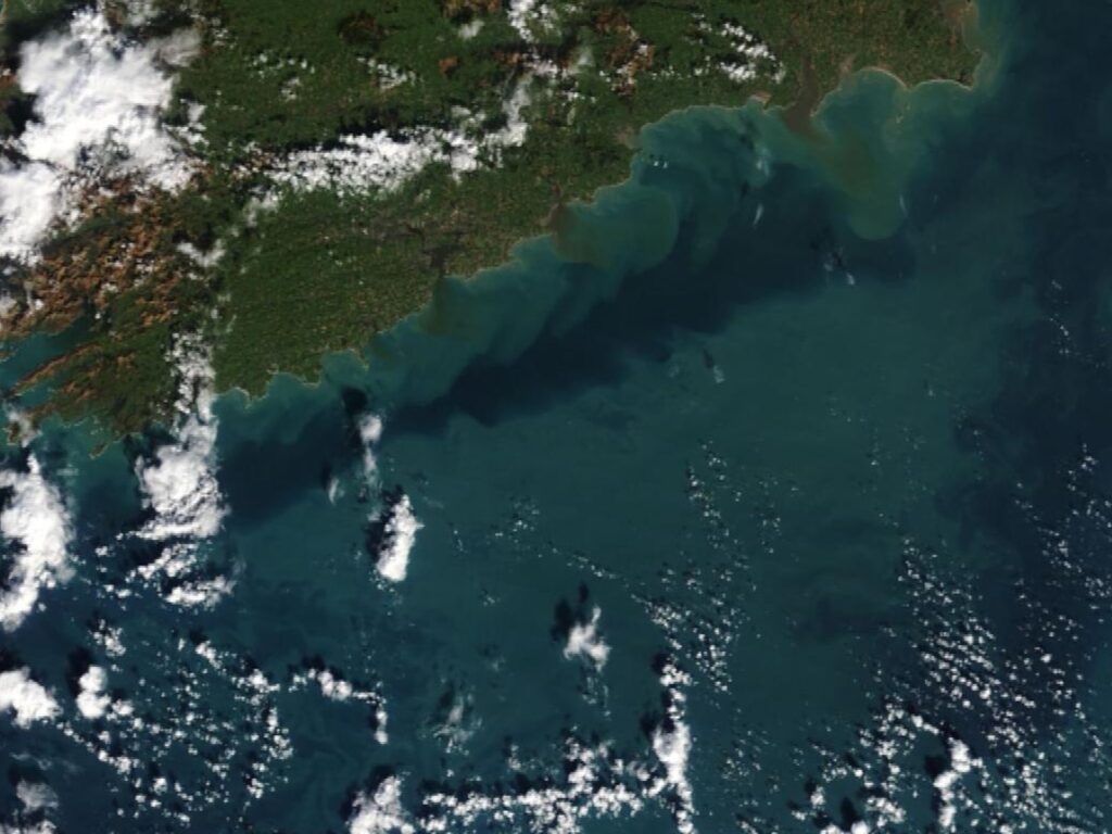 Algal-bloom-1024x768 Scattered showers and algal blooms