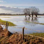 flooding