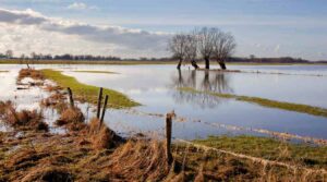 flooding