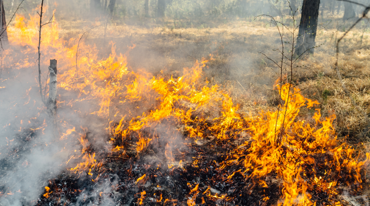Wildfire-1200x667 Mourne Mountains fire started deliberately