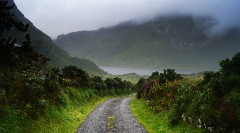 country-road-in-ireland-with-fog-1024x569 Lengthy dry spell to end this weekend