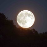 Buck Moon to Light Up Irish Skies This Week 11 Pink Moon