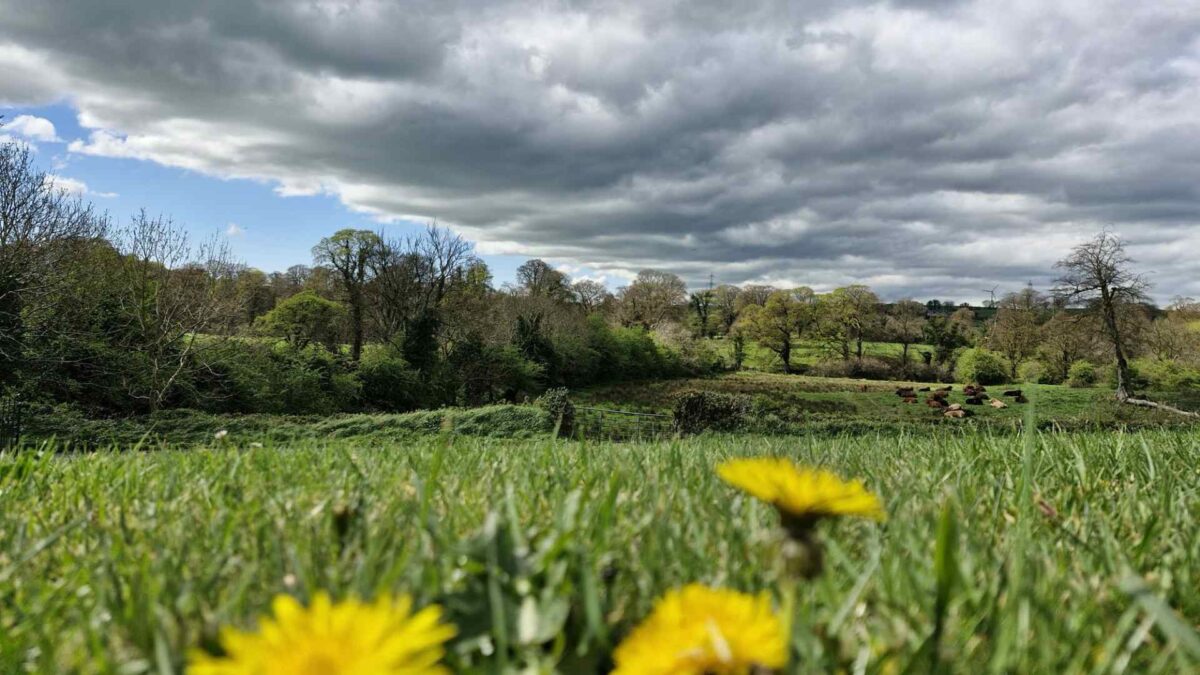 crossmaglen_armagh-1200x675 Wet end to working week