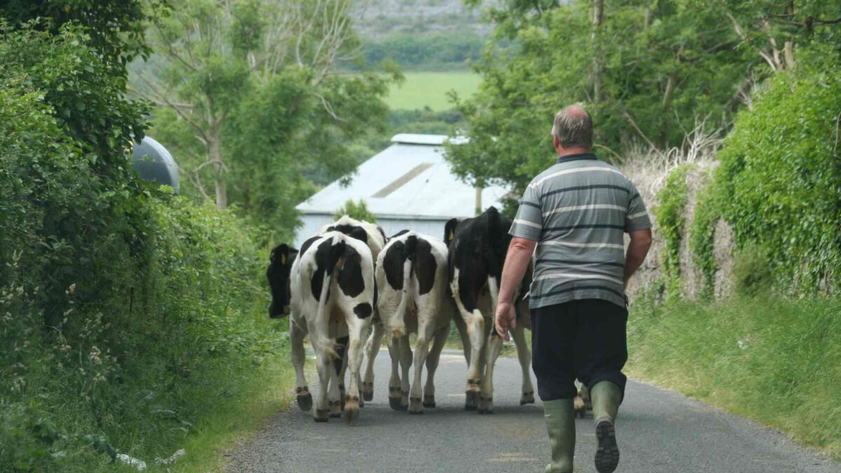 iRISH_FARMER-1200x675 Agricultural emissions decreased by 4.6%