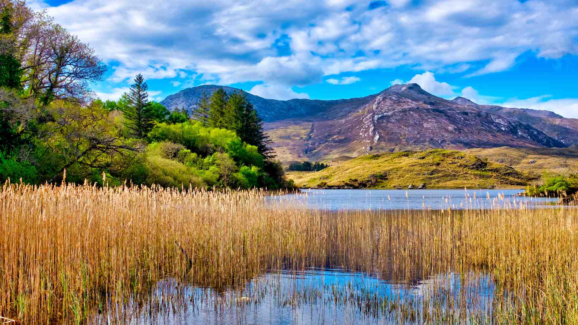 Derryclare