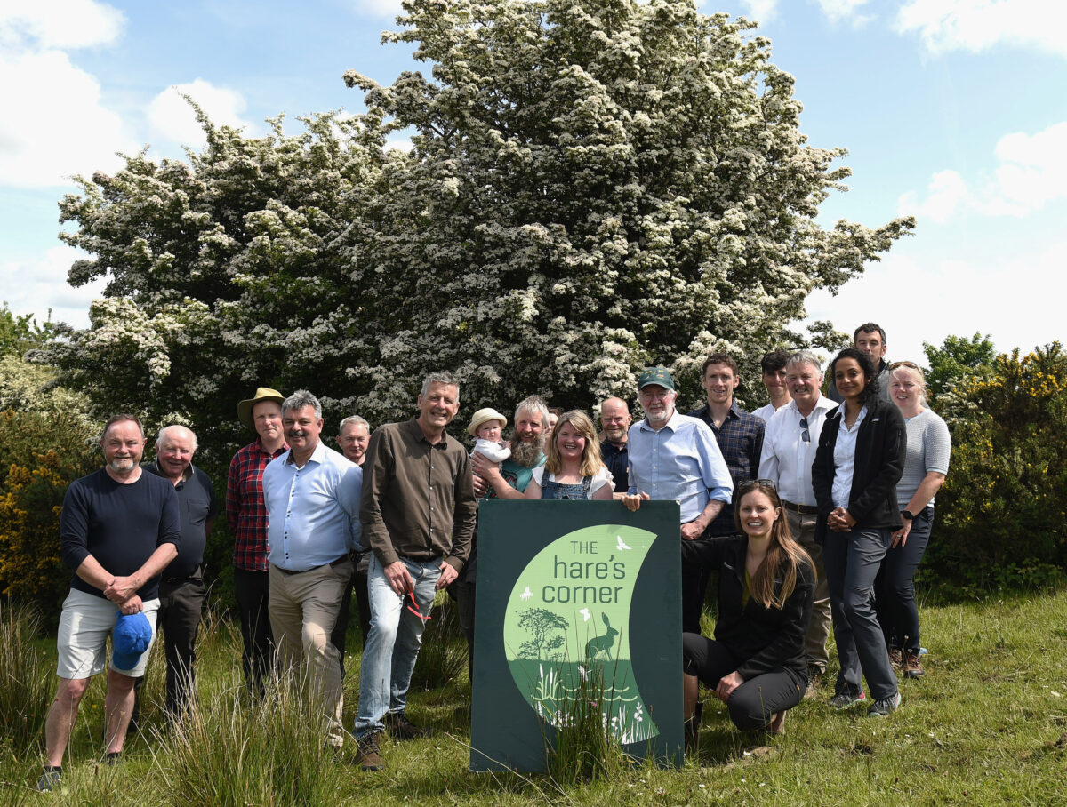 €2.9 Million Boost for Biodiversity Projects Across Ireland 26 Launch