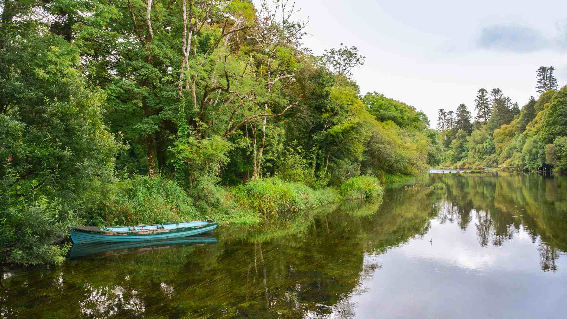The River Cong