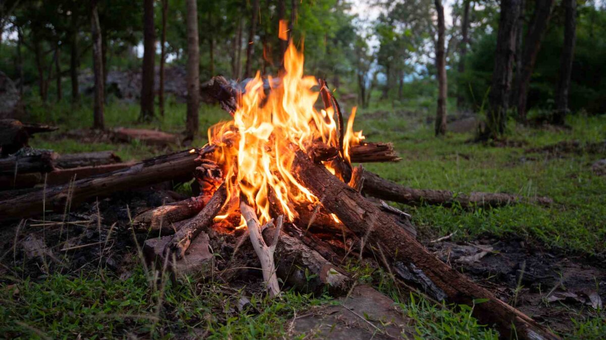 camp_fire-1200x675 Public told to ditch BBQs as fire risk soars