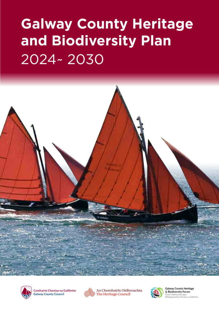 Galwayplan3-724x1024 Heritage and Nature at Heart of Galway’s New Conservation Plan