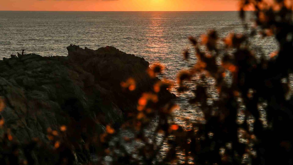 Mexicos-Pacific-coast-1200x675 Scientists Discover Ocean Bloom After Hurricane