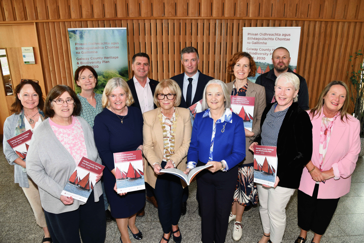 a-1200x800 Heritage and Nature at Heart of Galway’s New Conservation Plan