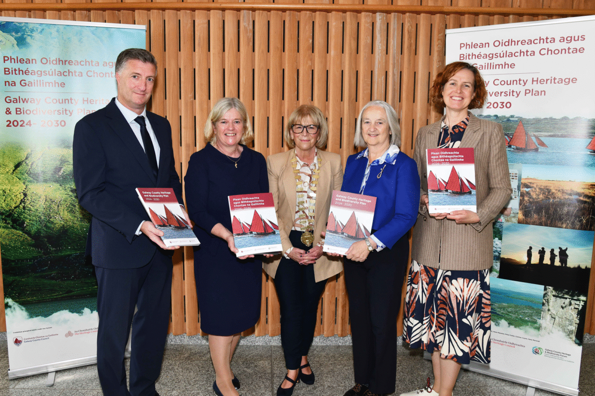 b-1200x800 Heritage and Nature at Heart of Galway’s New Conservation Plan
