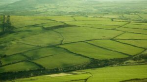 ireland 1