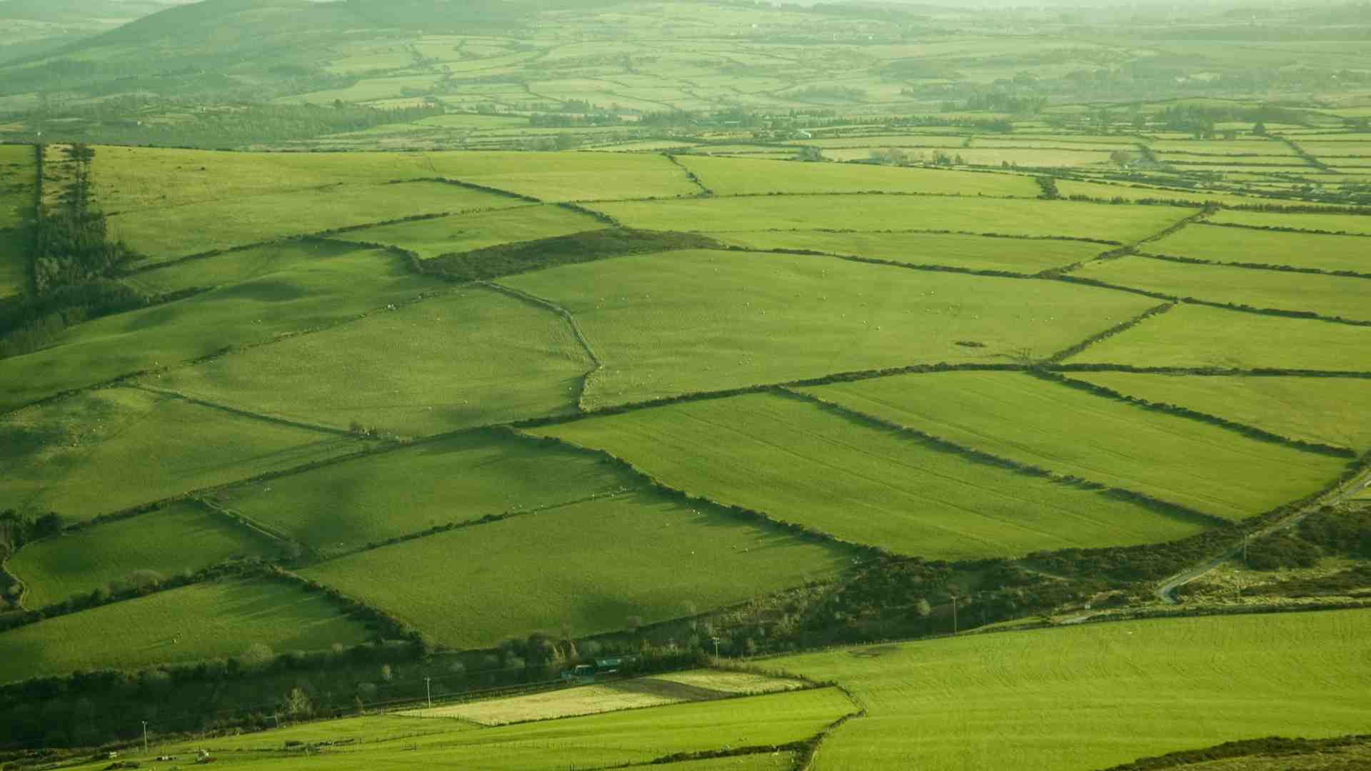 ireland 1