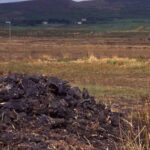 Report Exposes Widespread Illegal Peat Harvesting in 7 Counties 11 peat
