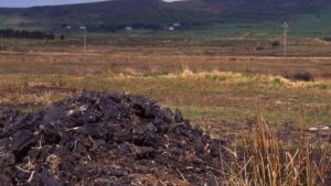 peat