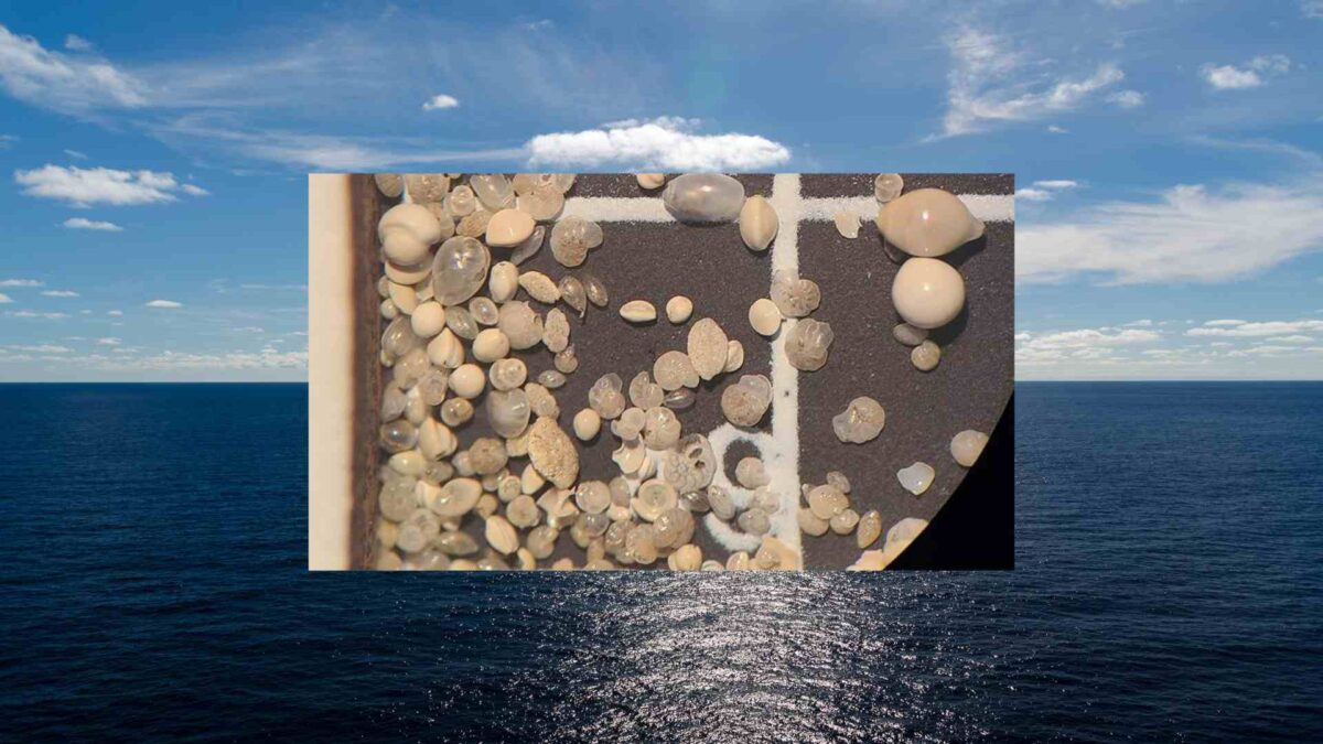 Weaker Atlantic Currents Linked to Higher Oxygen Levels 25 ATLANTIC