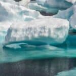 Arctic