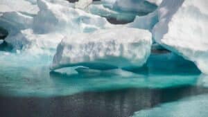 Arctic