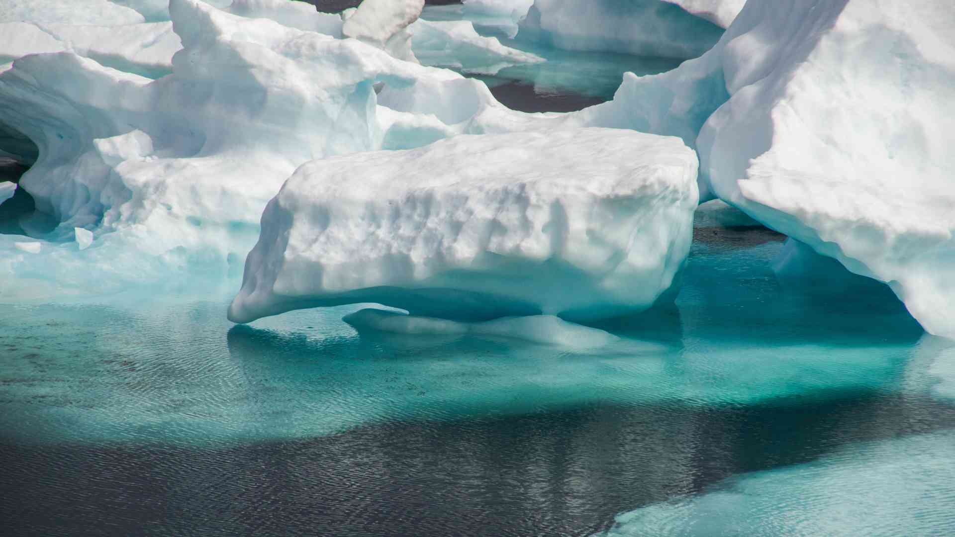 Arctic
