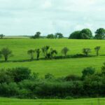 Irish FARM