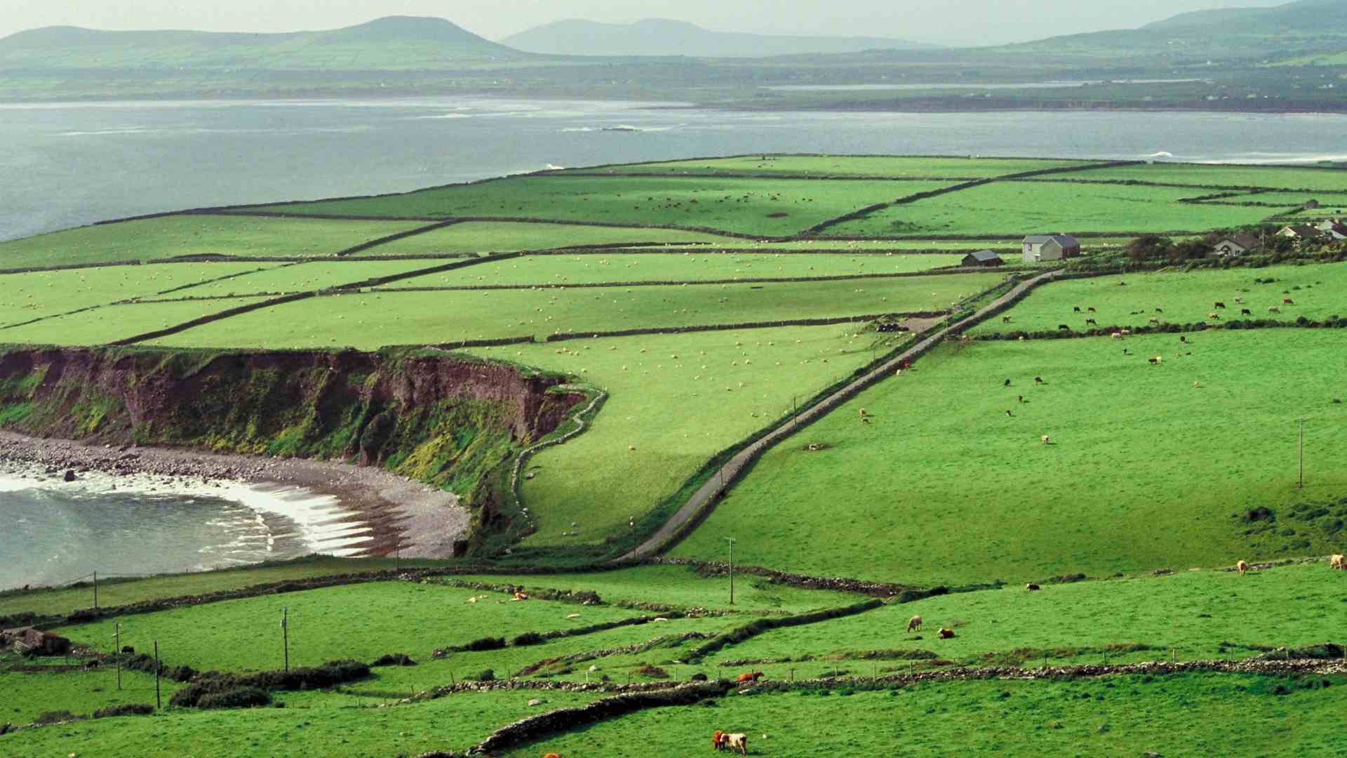 Irish countryside