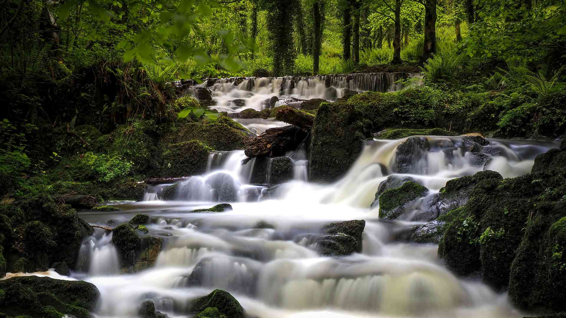 Irish river
