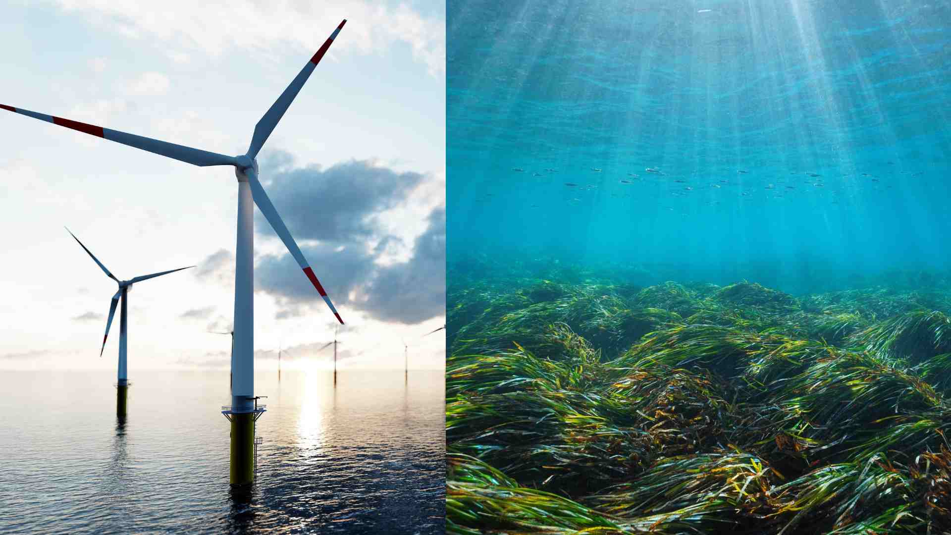 Offshore wind