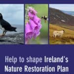 RestoreNature.ie