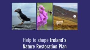 RestoreNature.ie