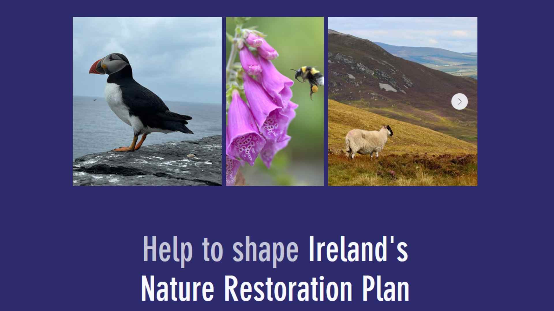 RestoreNature.ie