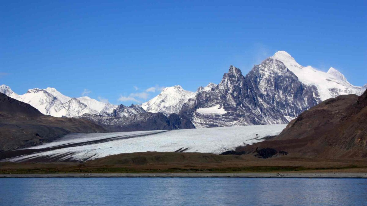 Satellite Data Shows Most Protected Seas Are Working 26 South Georgia