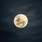Sturgeon Moon