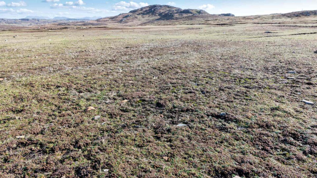 New Study: Wetlands Work Wonders in Just 12 Months 25 Wetlands on Inishbofin Island, Galway