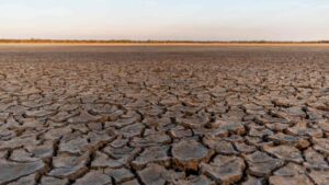 dried lake