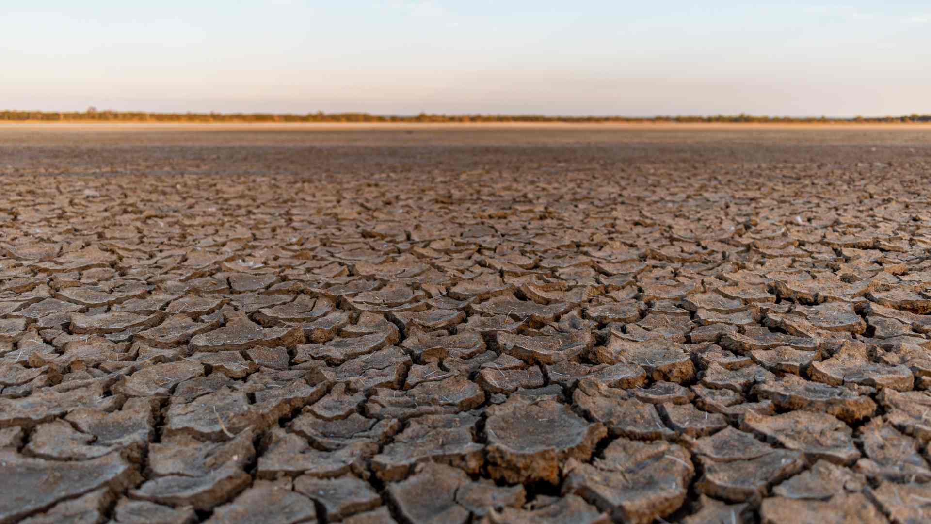 dried lake
