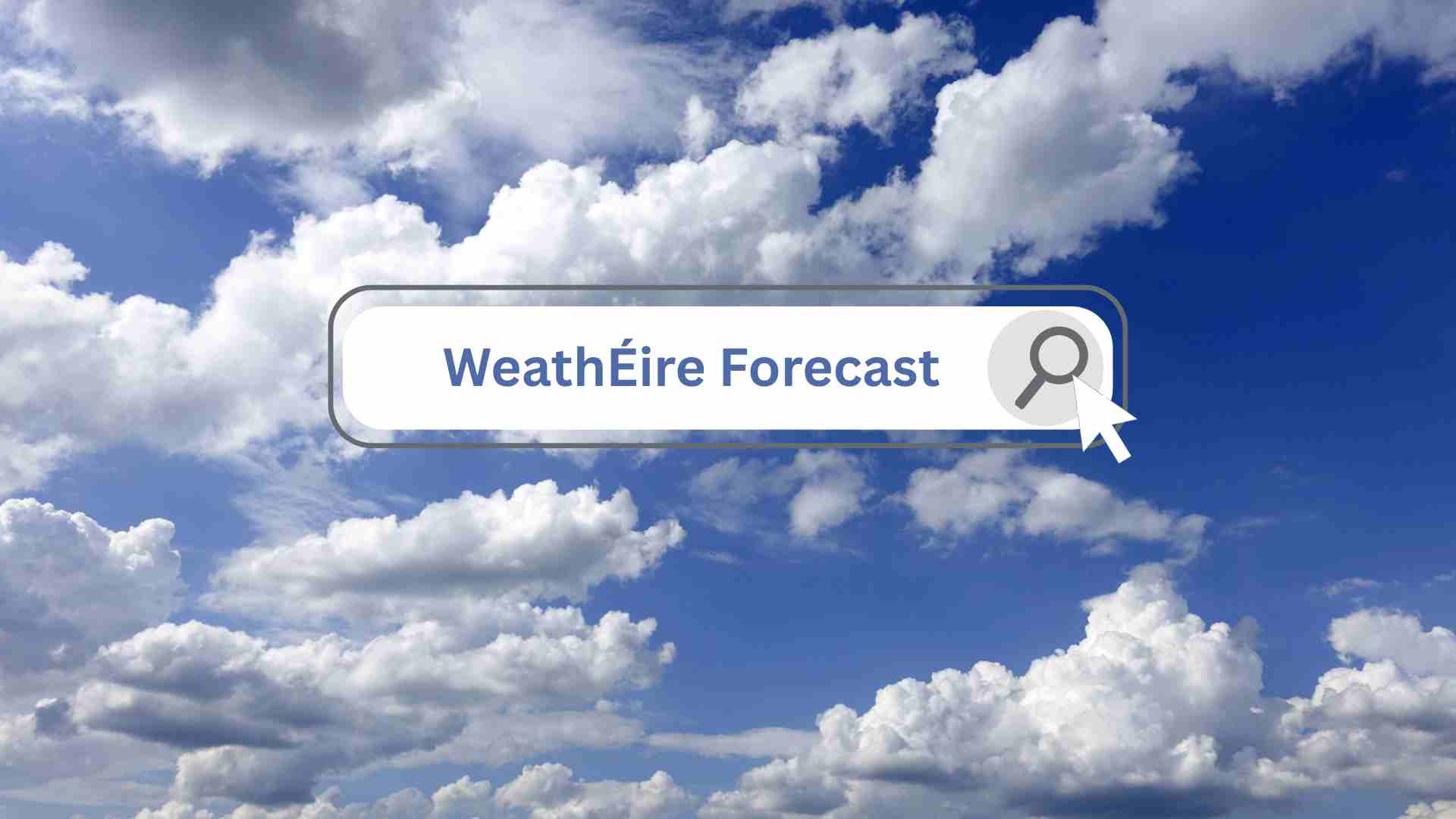 forecast