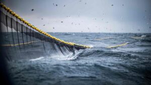 industrial fishing