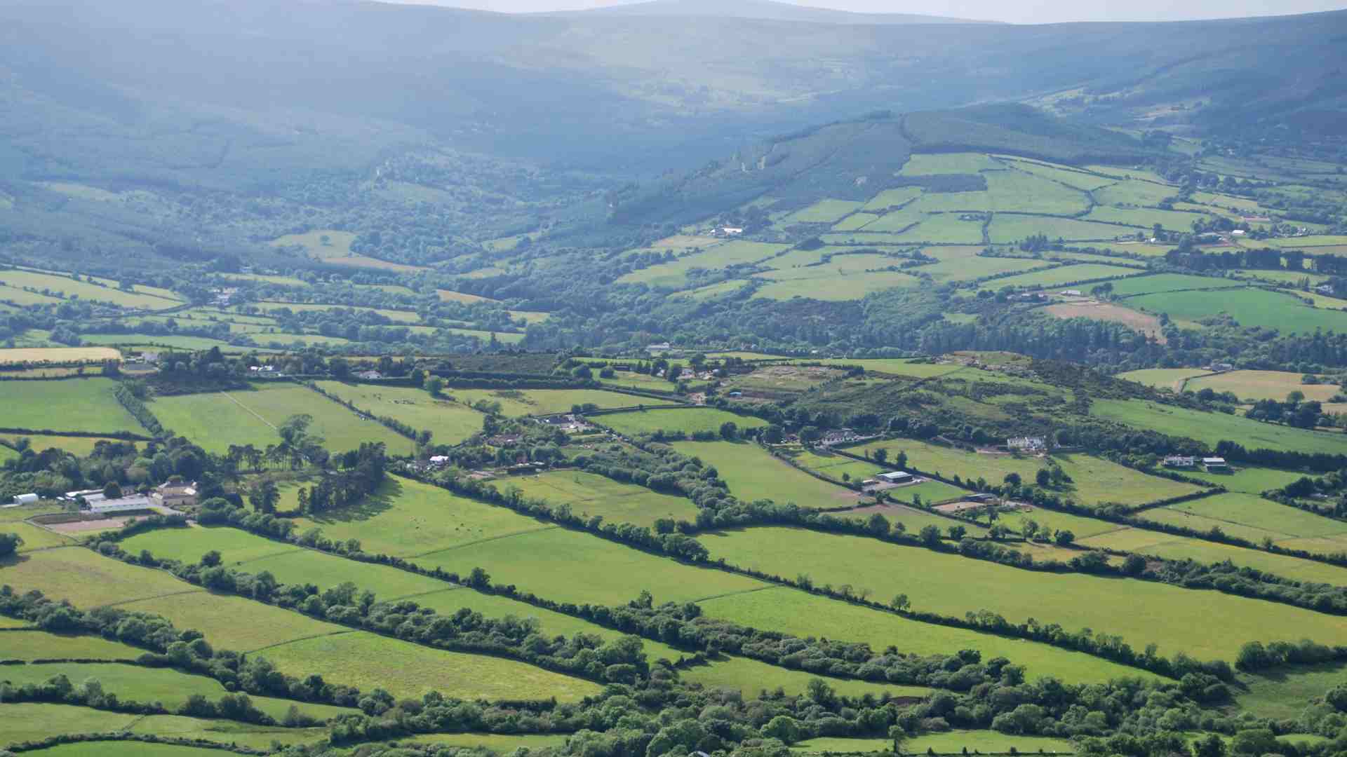 irish farm