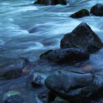 Investigation into Cavan Fish Kill 11 river