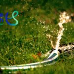 water ban