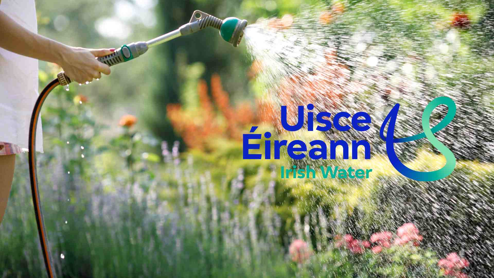 water conservation