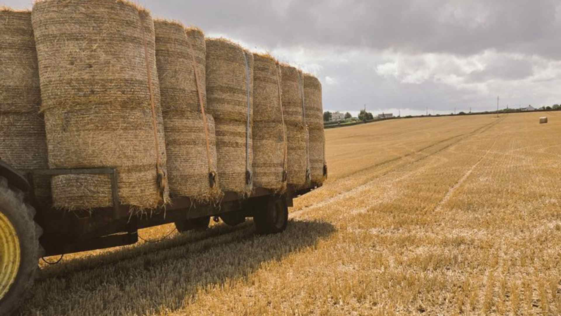 A scene from County Laois on Saturday