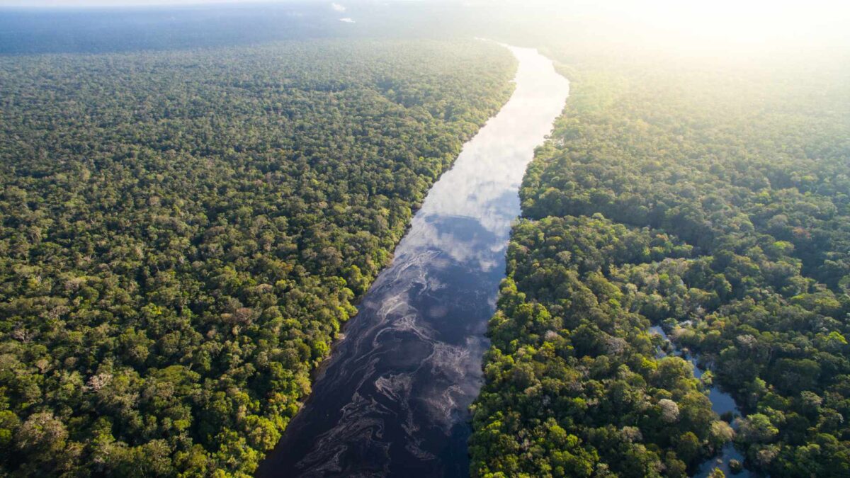 Amazon-Rainforest-aerial-1200x675 Amazon Rainforest Faces Risk of Large-Scale Dieback
