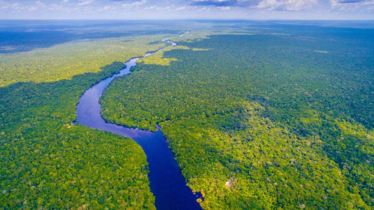 Amazon-river-in-Brazil-1200x675 Extreme Heat Linked to Sharp Tropical Bird Declines