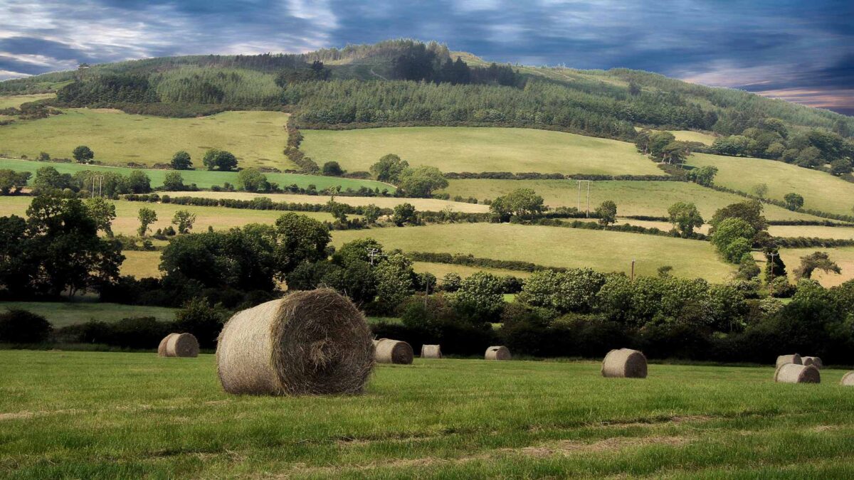 Arklow-Hill-Wicklow-1200x675 Grass Growth to Surge as Heat Holds