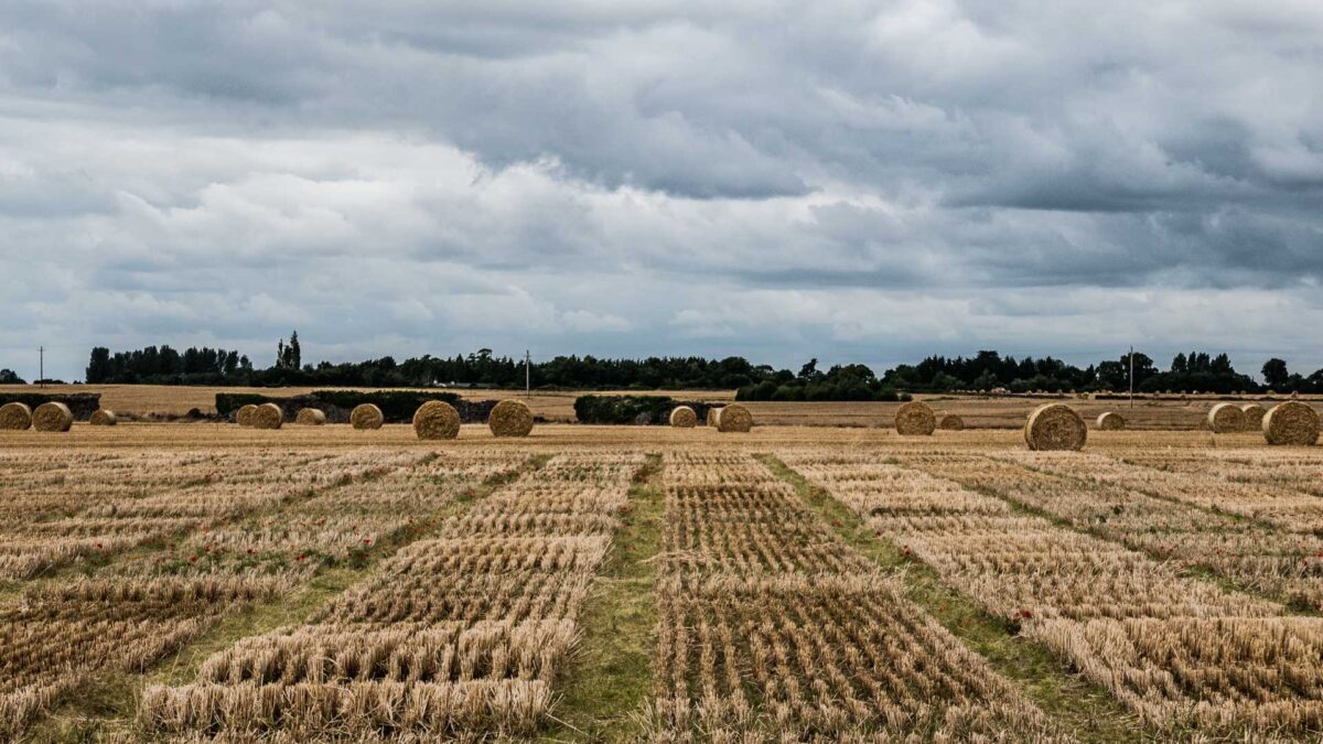 County-Carlow-1200x675 Carlow goes full week without rain