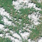 County Meath and Louth