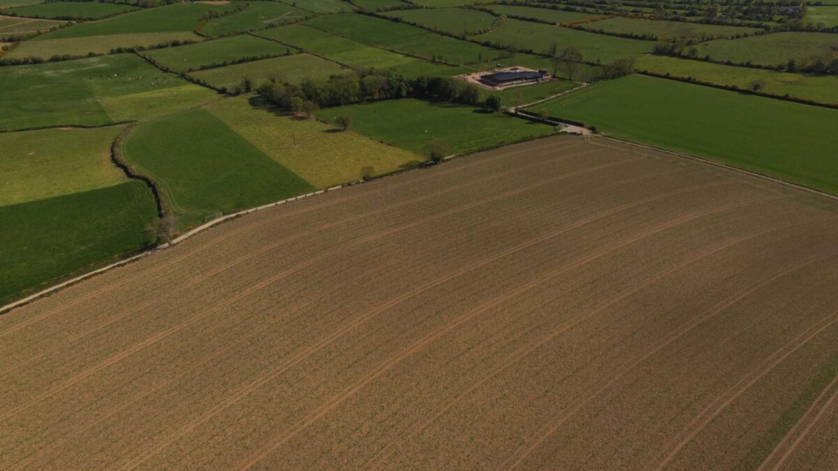 County-Wexford-1-1200x675 Dry soils put squeeze on grass growth