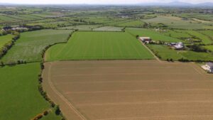 County Wexford